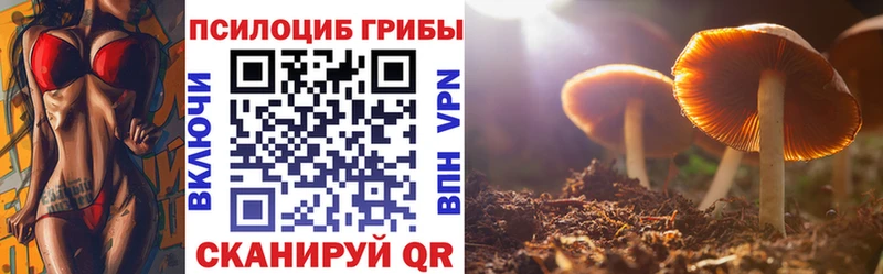 Псилоцибиновые грибы мухоморы хочу наркоту Голицыно